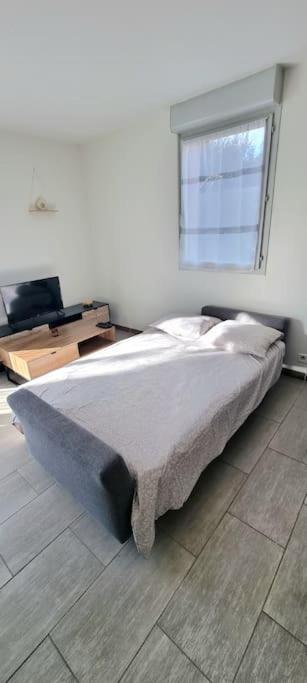 T2 Pool & Terrasse - Parking - Metro - Wifi Apartman Toulouse Kültér fotó